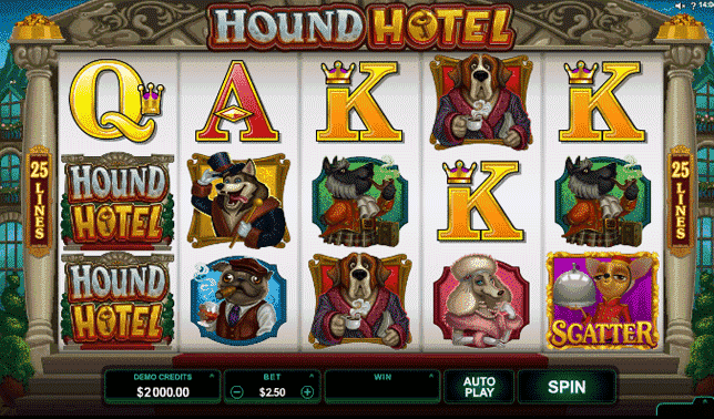 Slots Hound Hotel